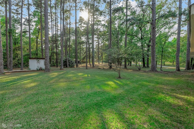 view of yard featuring a storage unit