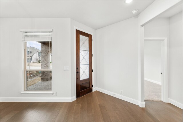 entrance foyer featuring wood-type flooring