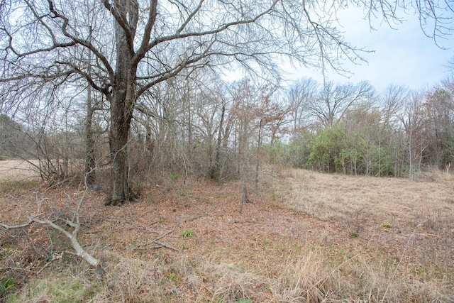 Listing photo 3 for TBD Lazy Launch Ln, Mabank TX 75156