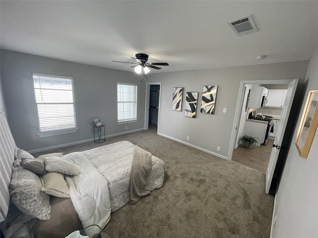 carpeted bedroom featuring ceiling fan and a walk in closet