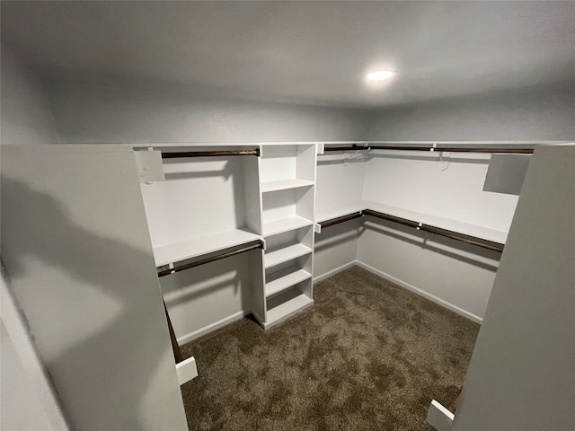 spacious closet featuring dark carpet