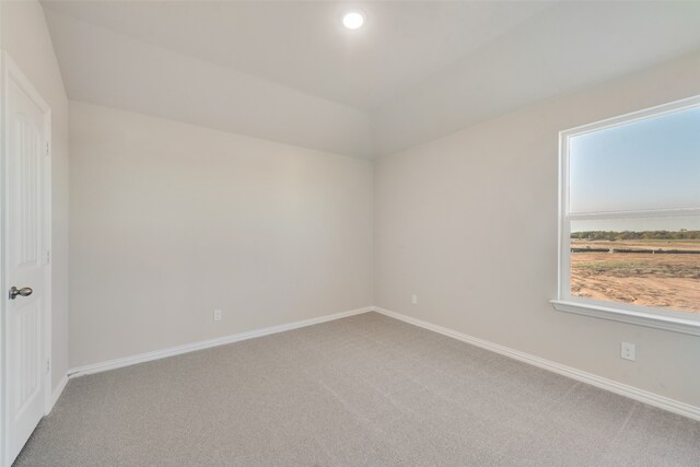 carpeted empty room with a wealth of natural light