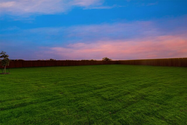 view of yard at dusk