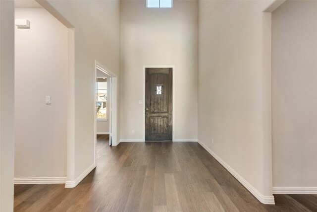 foyer with a towering ceiling and dark wood-type flooring