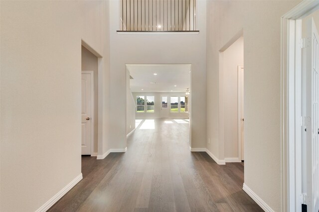 corridor with dark hardwood / wood-style floors