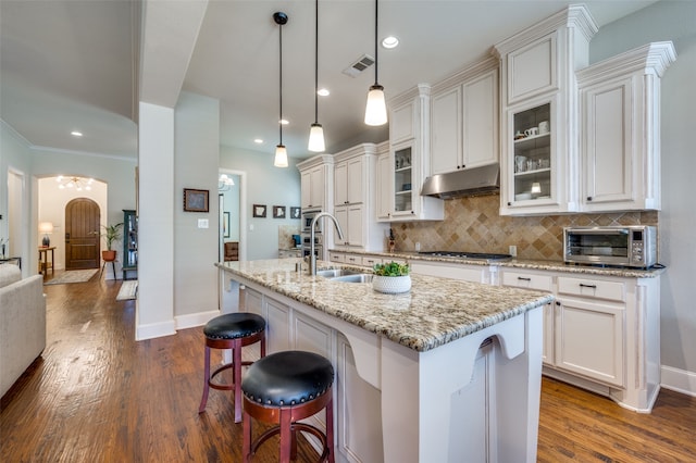 kitchen featuring dark wood-type flooring, a kitchen island with sink, and sink