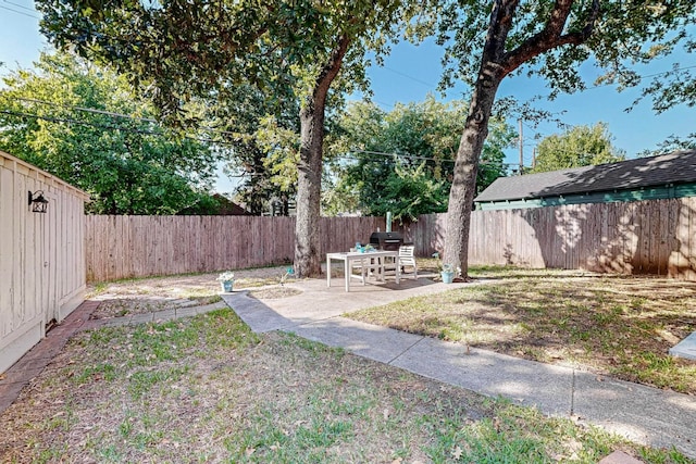 view of yard with a storage shed and a patio