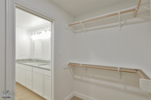 spacious closet with sink and light hardwood / wood-style floors