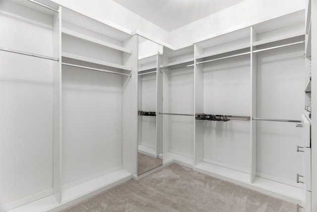 walk in closet with light carpet