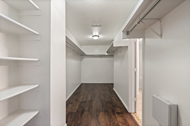 spacious closet featuring dark hardwood / wood-style flooring