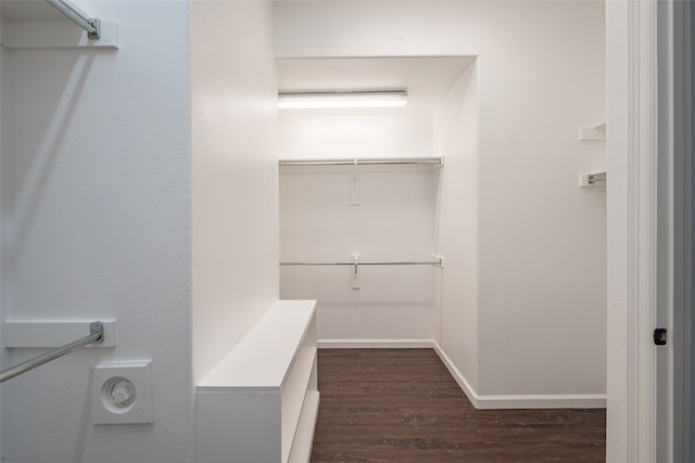 spacious closet featuring dark hardwood / wood-style flooring