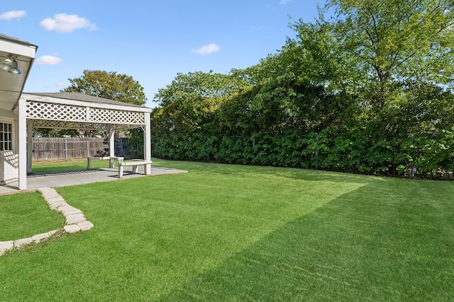 view of yard featuring a patio area