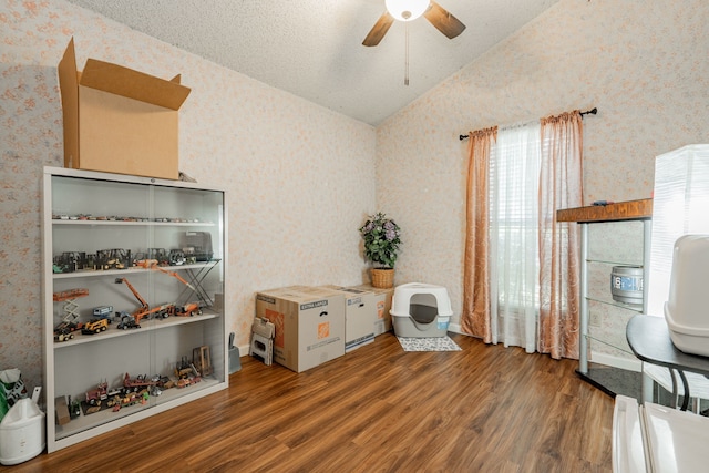 misc room featuring ceiling fan, a textured ceiling, dark hardwood / wood-style floors, and vaulted ceiling