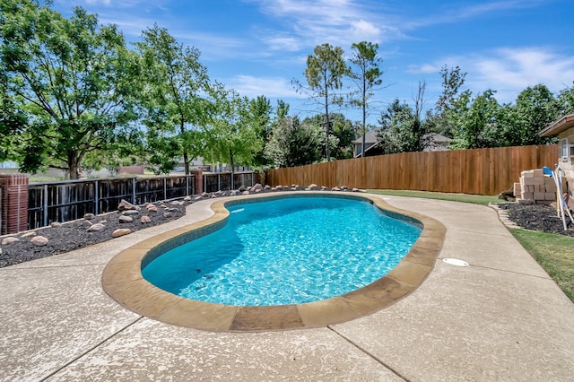 view of swimming pool with a patio