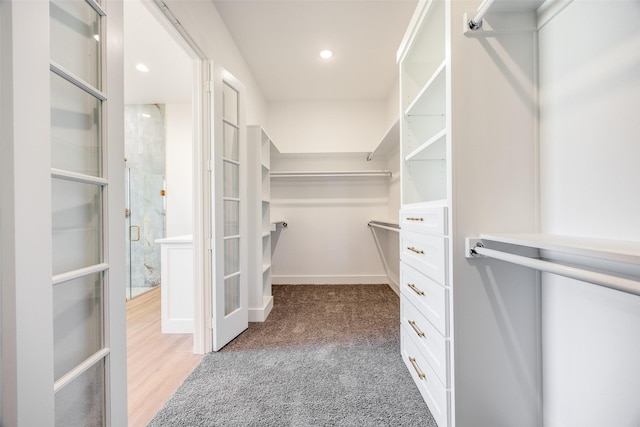 walk in closet with light colored carpet