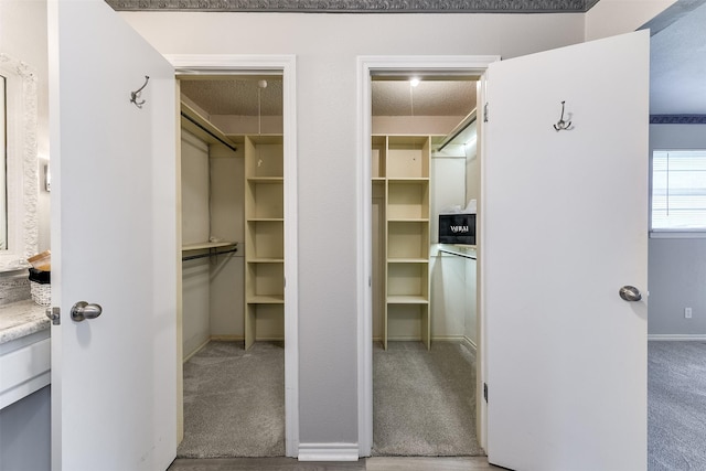 spacious closet featuring carpet floors