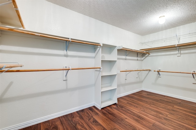 walk in closet featuring dark wood-type flooring