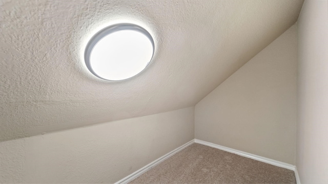 room details with carpet flooring and a textured ceiling