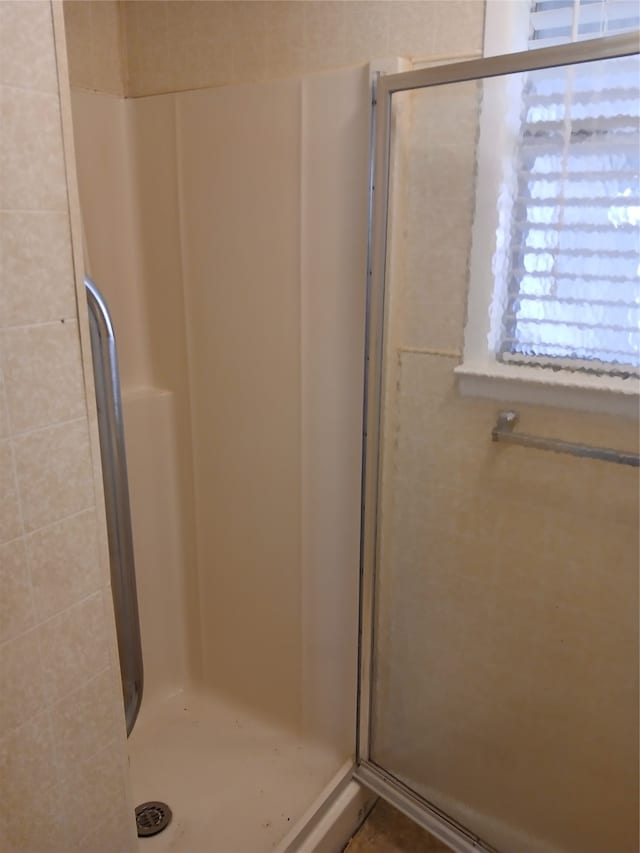 bathroom featuring a shower with shower door