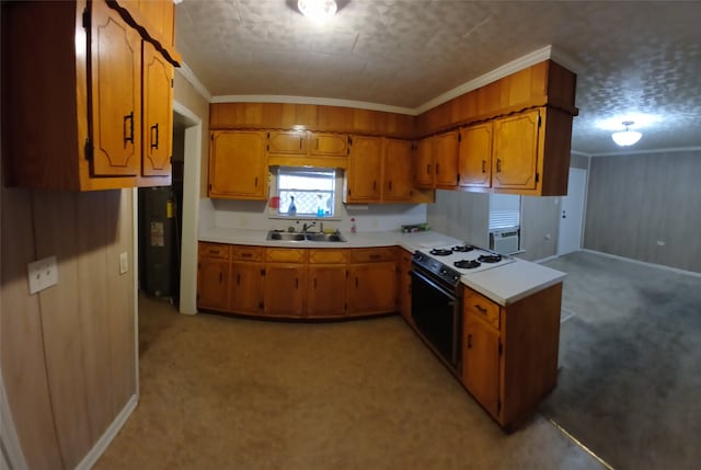 kitchen with sink, a textured ceiling, crown molding, light colored carpet, and black stove