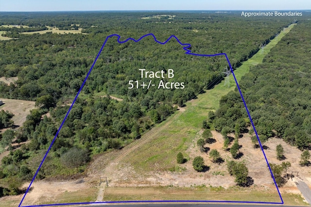 TractB Highway 69, Mineola TX, 75773 land for sale