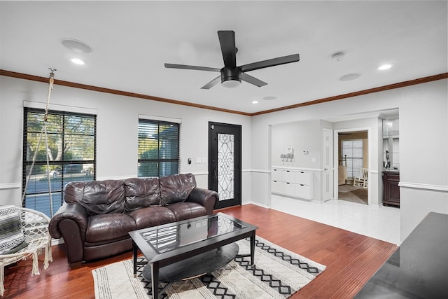 living room featuring hardwood / wood-style floors, ceiling fan, and ornamental molding