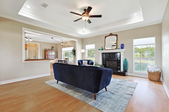 living room featuring a healthy amount of sunlight, light hardwood / wood-style floors, and a raised ceiling