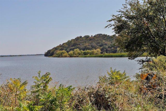 3730 Blueberry Ct, Granbury TX, 76048 land for sale