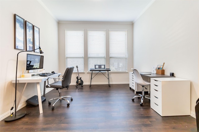 office with dark hardwood / wood-style flooring and crown molding