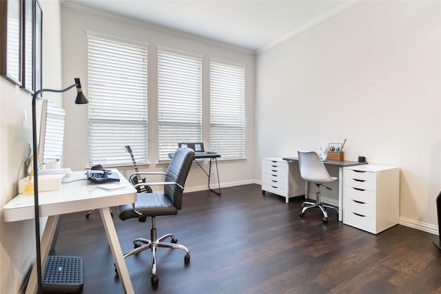 office space featuring ornamental molding and dark wood-type flooring