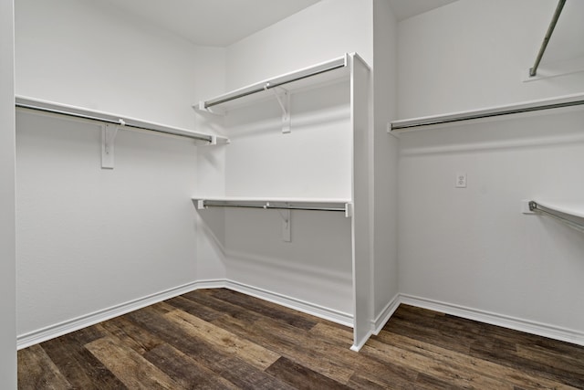 spacious closet with dark hardwood / wood-style flooring