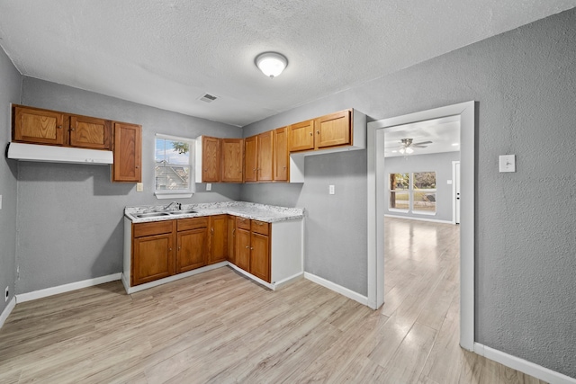 kitchen featuring sink, ceiling fan, light wood-type flooring, and plenty of natural light