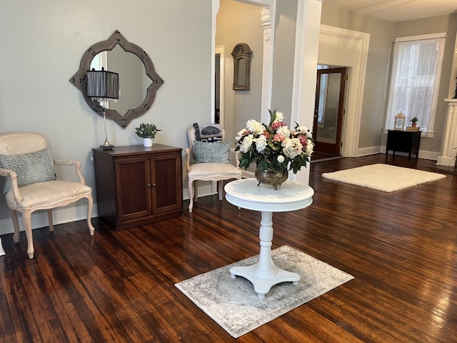 living area with dark wood-type flooring