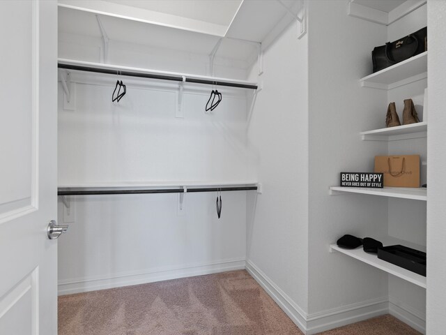 walk in closet with light carpet