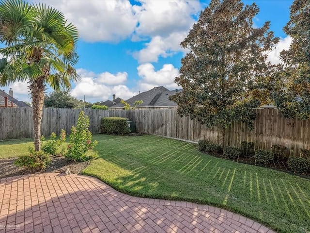 view of yard with a patio area