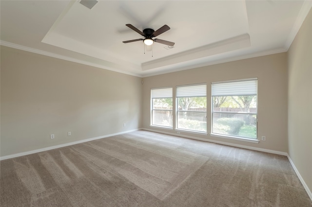 empty room featuring a tray ceiling and light carpet