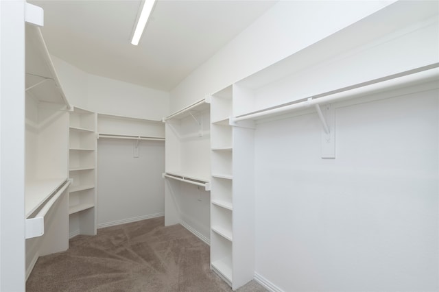 walk in closet with light colored carpet