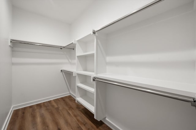 walk in closet featuring dark hardwood / wood-style flooring