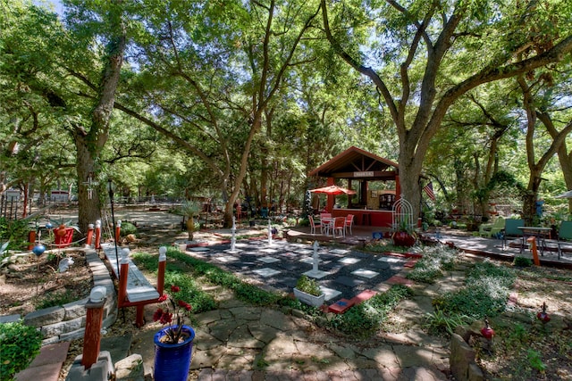 view of yard featuring a patio