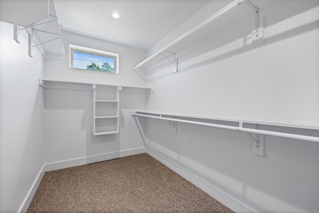 spacious closet featuring carpet floors