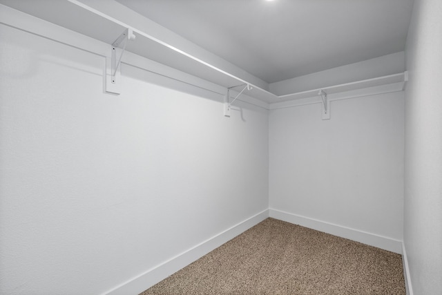 spacious closet featuring carpet flooring