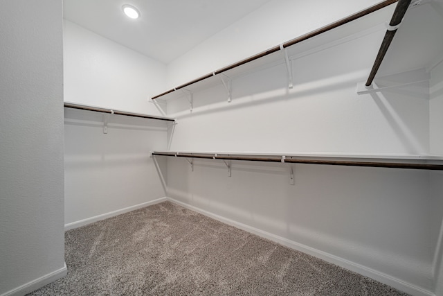 walk in closet featuring carpet floors