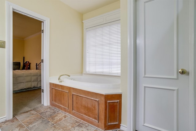 bathroom with a bathing tub