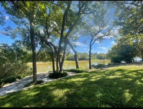 Listing photo 3 for TBD Cr 312, Glen Rose TX 76043