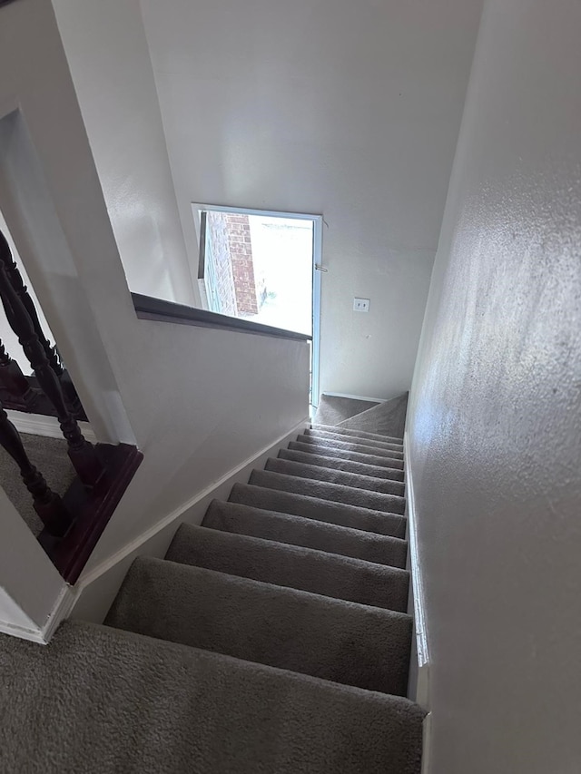 staircase with carpet flooring