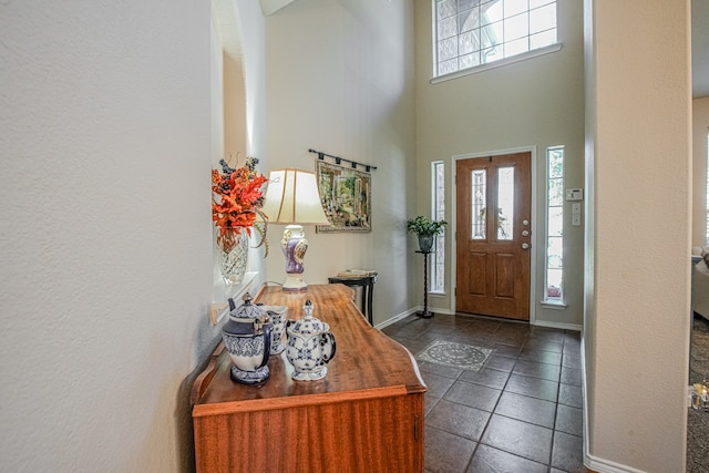 entrance foyer featuring a towering ceiling