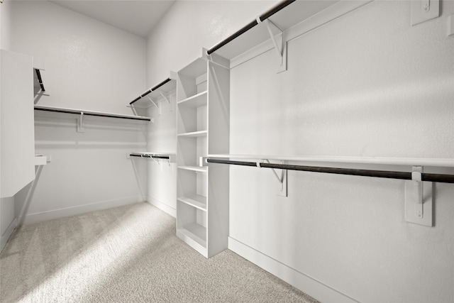 walk in closet featuring carpet flooring