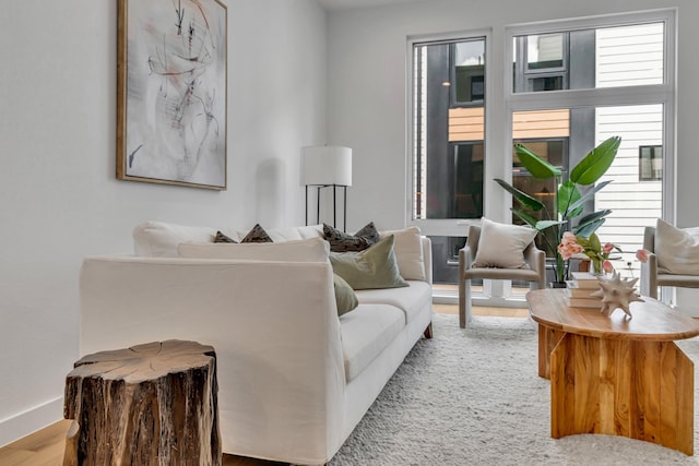 living room with baseboards and wood finished floors