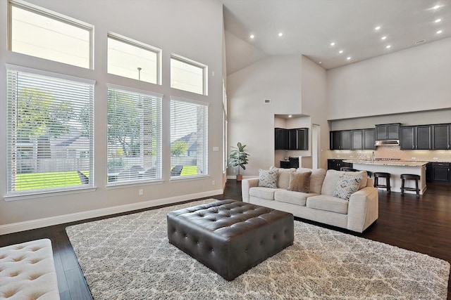 living room featuring high vaulted ceiling, dark hardwood / wood-style flooring, and sink