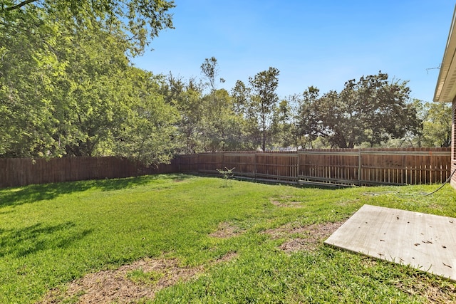 view of yard featuring a patio